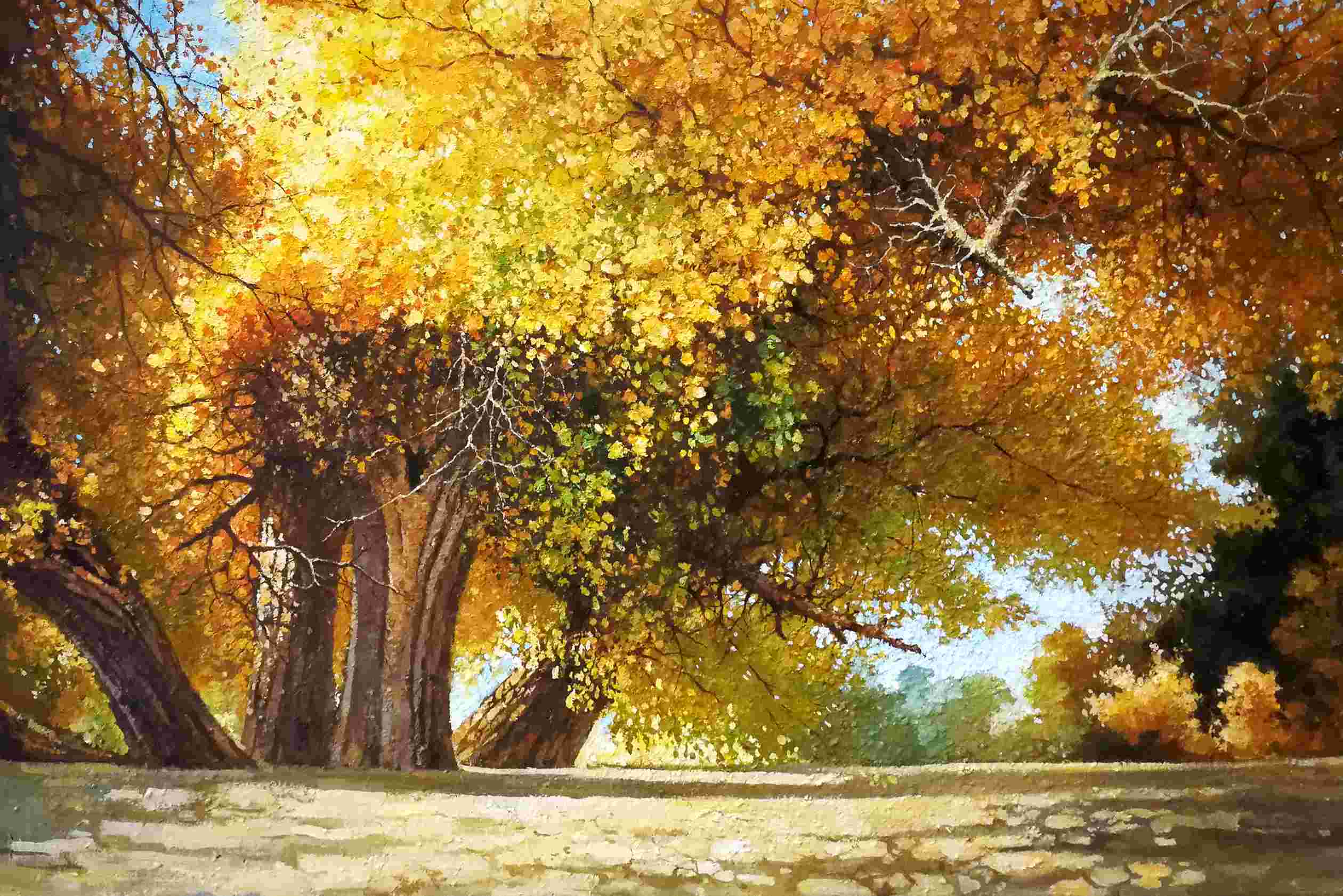 扬州丹青商剑峰风景画作品《胡杨林》