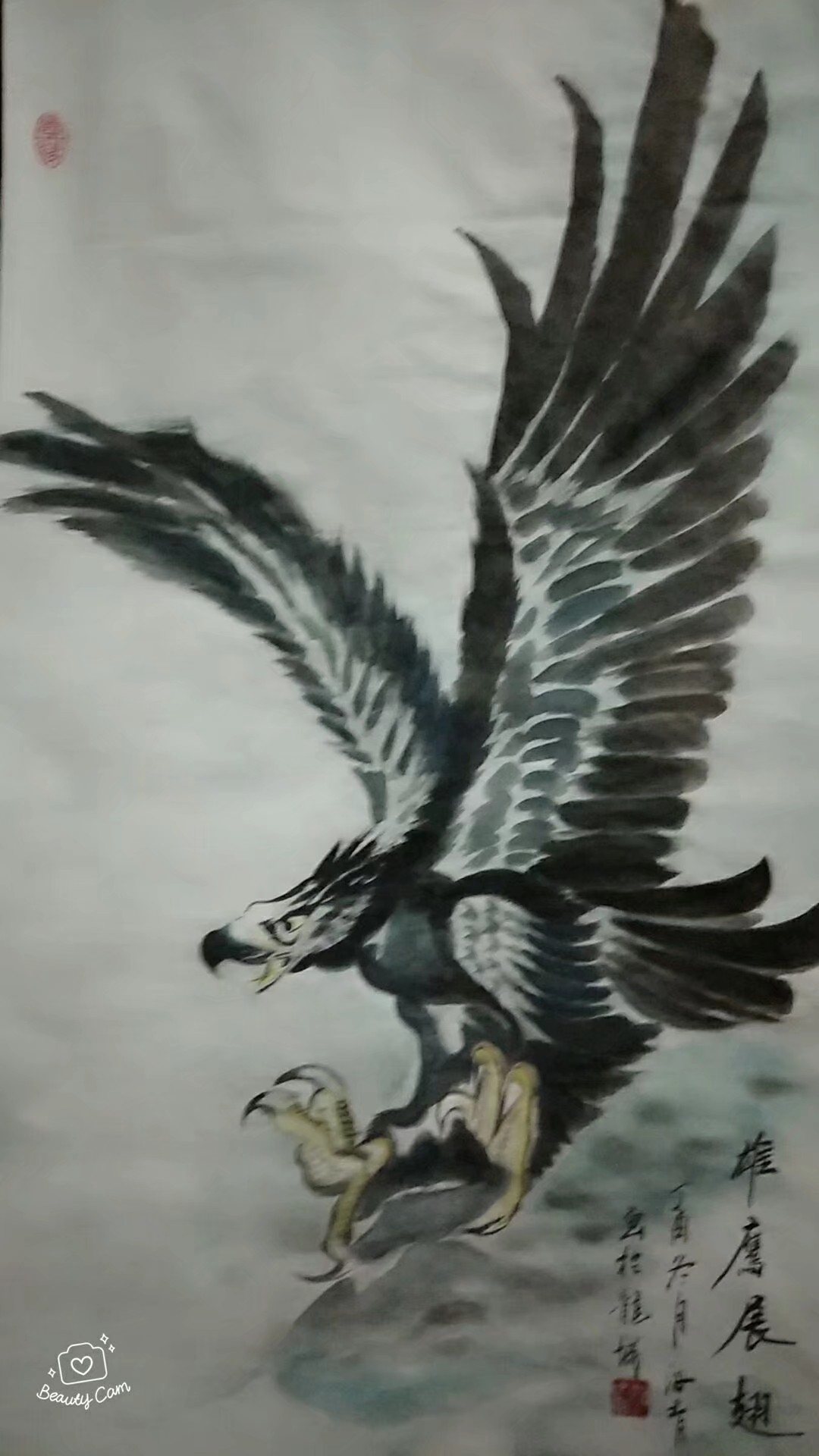 汝青手工画《雄鹰展翅》