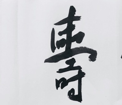 张龙行书《四字吉语条幅》