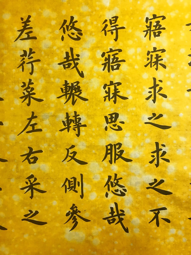 虫二书房楷书《诗经周南关雎》
