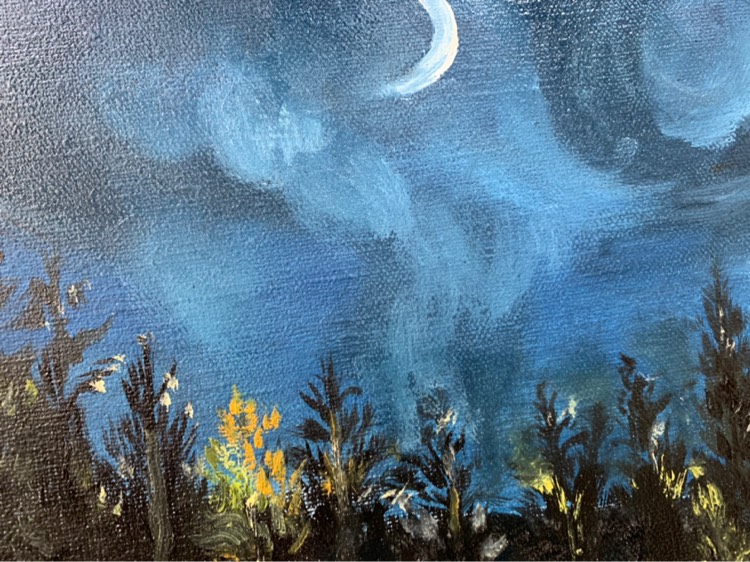 晋亚南风景画《星空》
