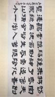 中国硬笔书法协会会员 周红雨隶书作品《唐杜甫诗望月》
