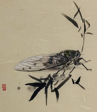 知竹常乐