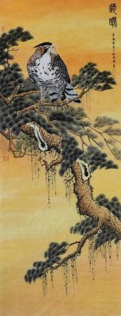 远瞩