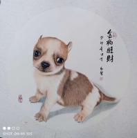 陕西省美术家协会会员 马新荣动物画作品《工笔画金狗旺财》