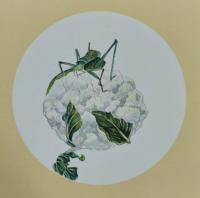 东方书画艺术家协会会员 周序春其他作品《绿蝈鲜蔬》