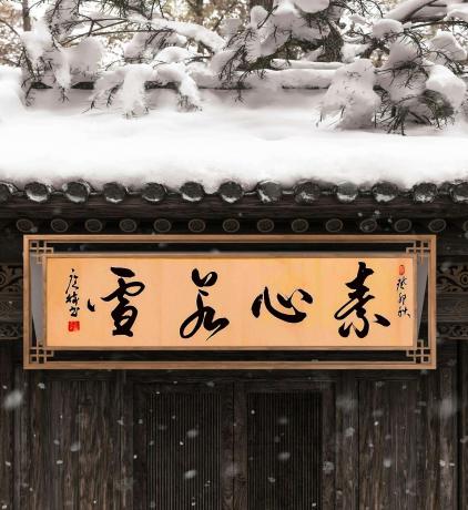 素心若雪
