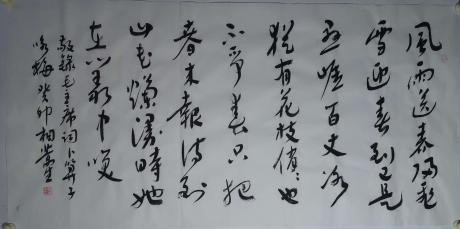 卜算子咏梅