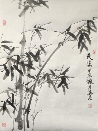 天姿