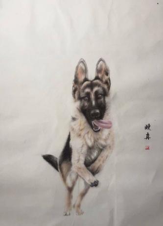 归来