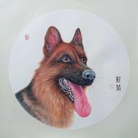 陕西省美术家协会会员 马新荣动物画作品《忠诚卫士》