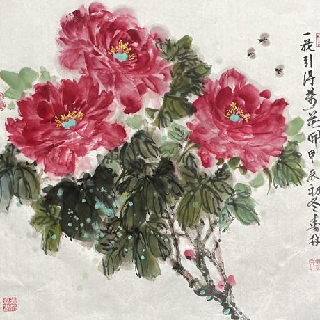 富贵花开