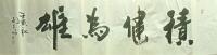 积健为雄