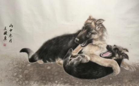 护犊情深
