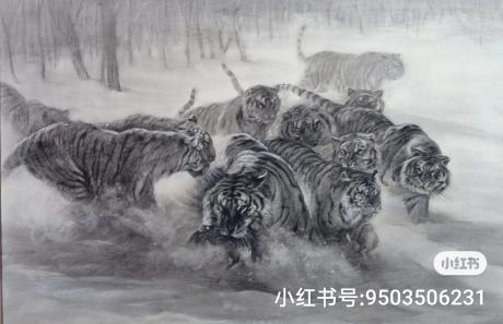 虎