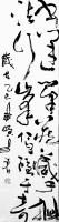  朱双易其他作品《大草》