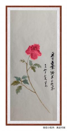 一花一世界