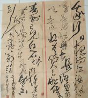 全国名人书画界联合会委员 聂廷峰草书作品《东坡诗一首》