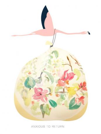 海南省花