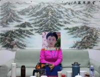  朱双易其他作品《沨氺图定制》
