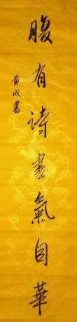 腹有