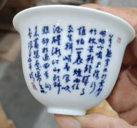  邹闰生其他作品《主人杯定风波》