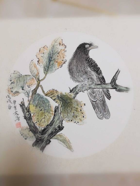 图片