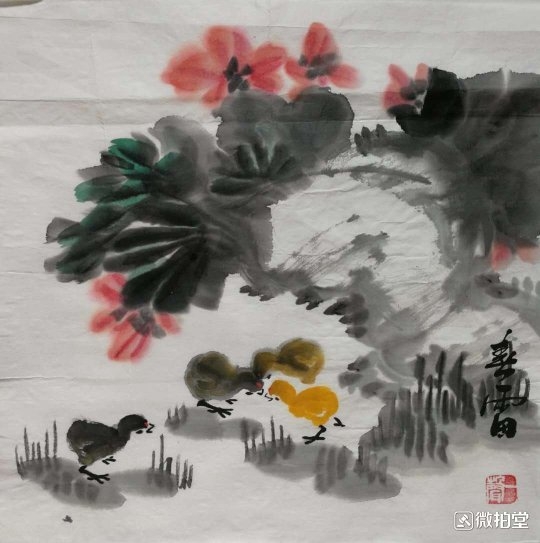 图片