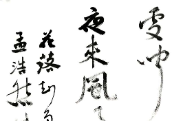ThinkSNS4.0