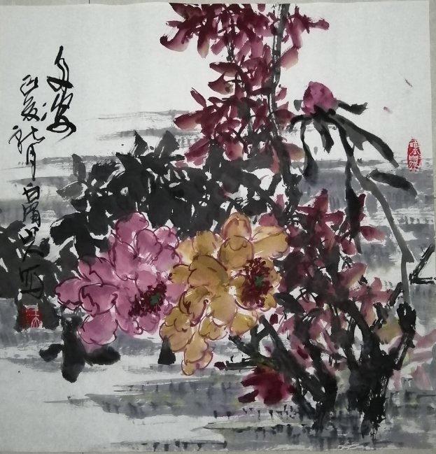 图片