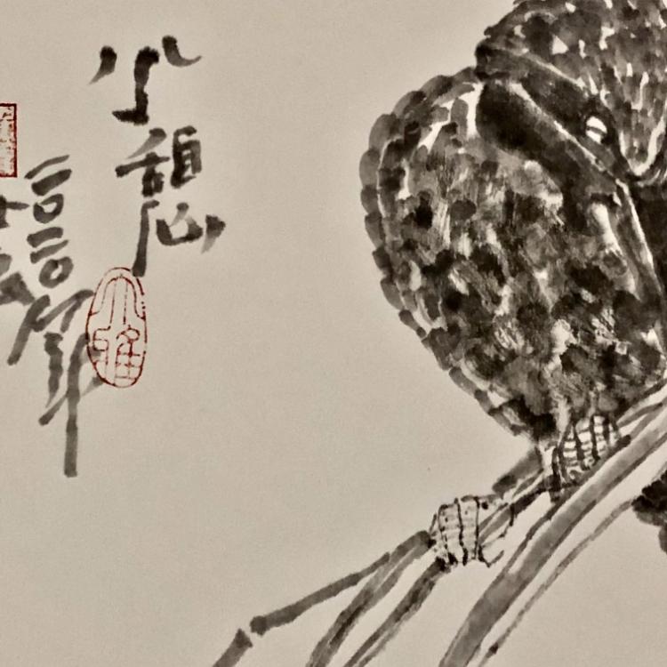 点击缩小