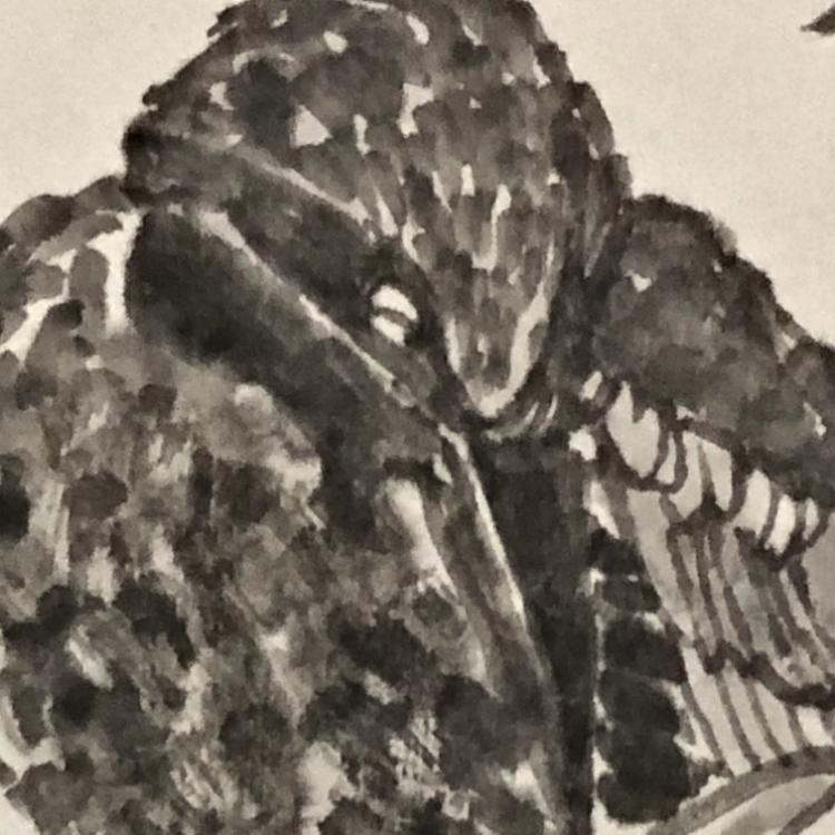 点击缩小